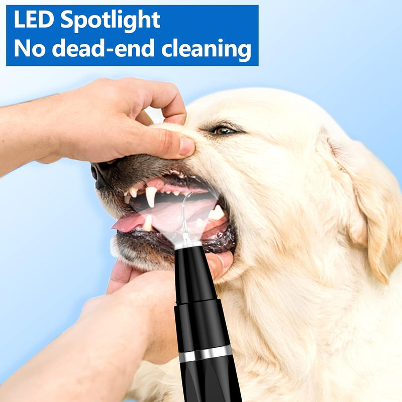 Ni-SHEN Plaque Remover for Teeth - Pet Ultrasonic Cleaner - Teeth Cleaning Kit for Tartar and Stains - Suitable for Dogs and Cats (Black) Black