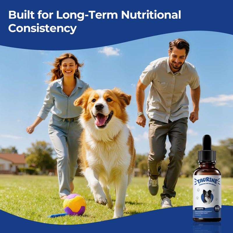 Taurine Supplement for Dogs Liquid Drops, Amino Acid Support for Heart & Muscle Function, Daily Canine Nutrition Supplement, 60 mL × 2 Bottles