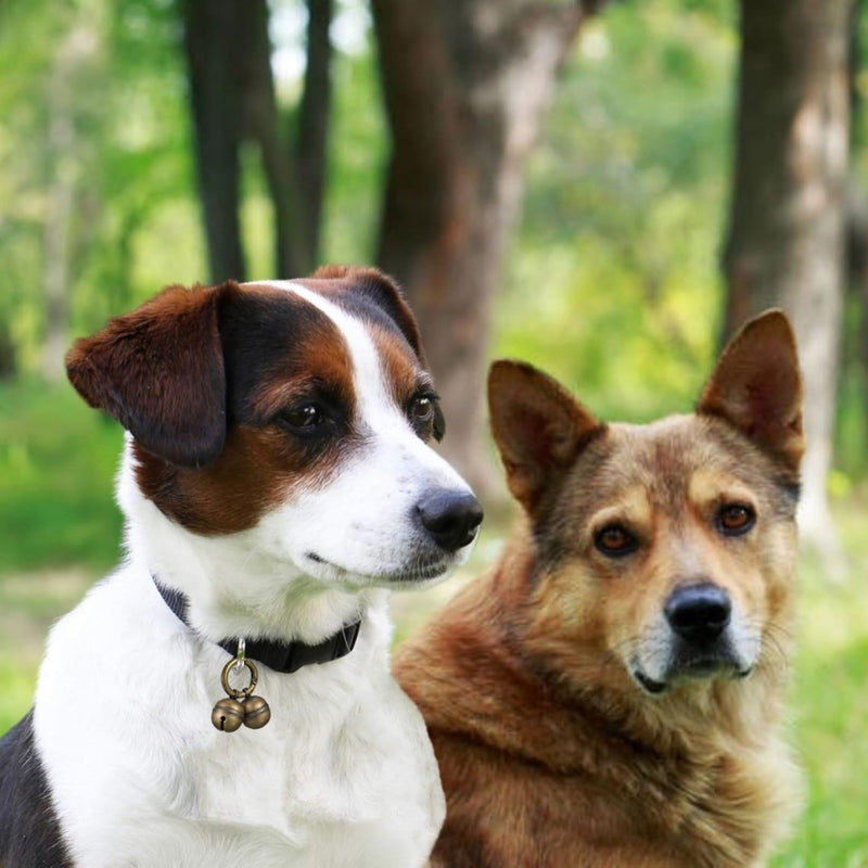 Dog Bells for Pet Tracking, 4 Extra Loud Dog and Cat Bells for Collar,Copper Bells with Quick Clips - BeesActive Australia