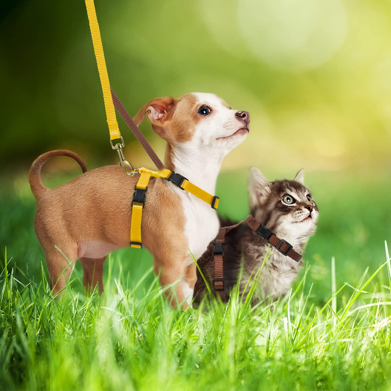Outus 5 Pieces Adjustable Rabbit Harness and Leash Set Escape Proof Bunny Harness Vest for Pet Running Walk Jogging Leash Harness for Bunny Cat Puppy Kitten Ferret and Other Small Pet(Vivid Color) Vivid Color - BeesActive Australia
