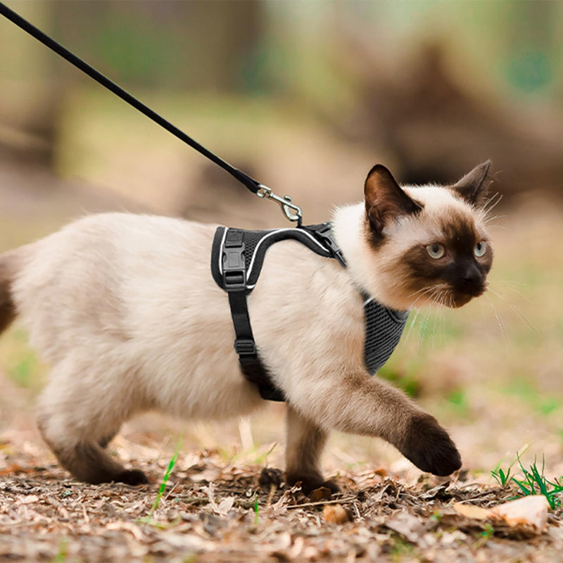 Cat Harness, Cat Car Harness and Leash for Walking, Escape Proof Soft Adjustable Vest Harnesses for Cats, Easy Control Breathable Reflective Strips Harness, Kitten Harness and Leash Set, Black, S S (7-12lb) - BeesActive Australia