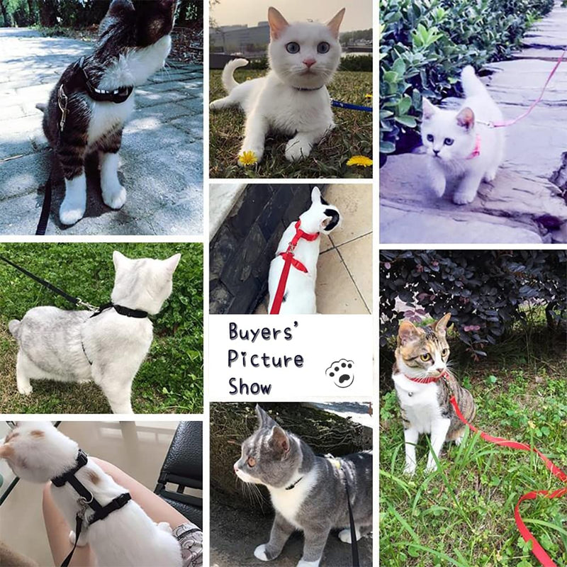 Cat harness with leash escape-proof, cat harness, adjustable cat leash with harness for cats, nylon cat leash, cat harness kitten for small cats and dogs - BeesActive Australia