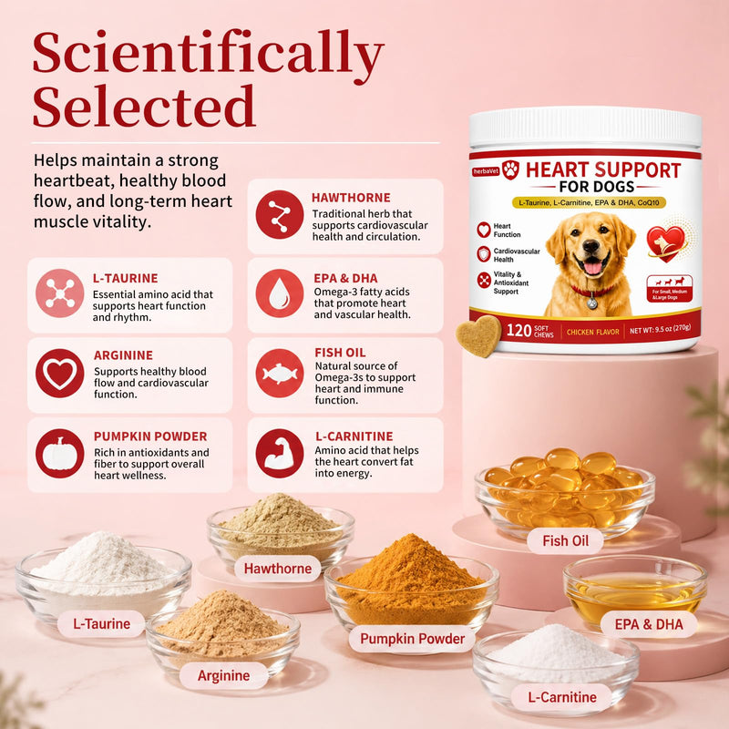 Taurine for Dogs, Heart Support Supplement, Antioxidant - Rich L-Taurine, L-Carnitine, EPA & DHA, CoQ10, Supports Cardiovascular Wellness, Circulation & Heart Function – 120 Chicken Flavour Soft Chews