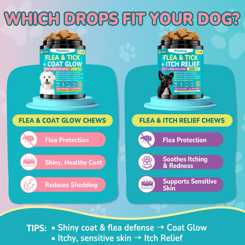Woyamay Flea + Coat Glow Soft Chews, Natural Flea and Tick Prevention for Dogs, Dog Flea and Tick Treatment Chewable, Reduces Itch & Shedding with Fish Oil & Neem, Chicken Flavor