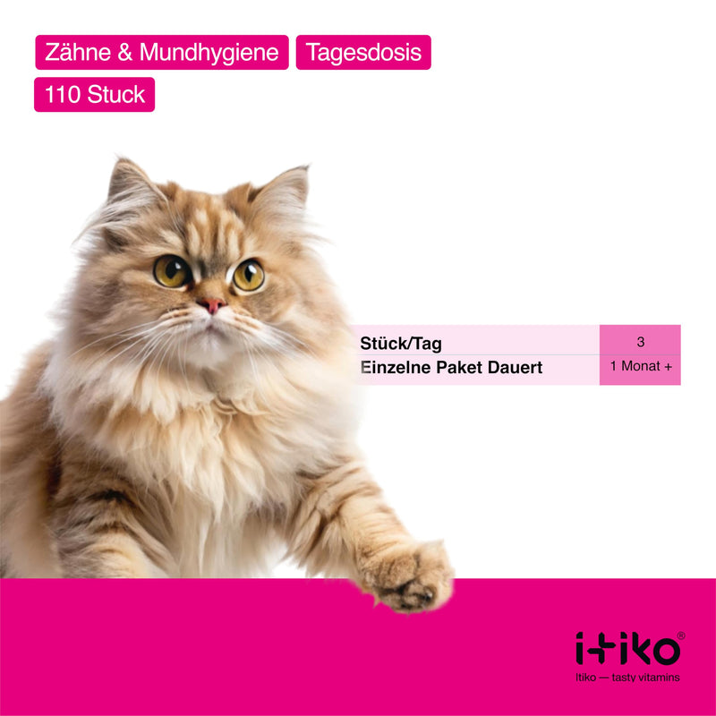 Itiko Digestive Snacks for Cats - Probiotics Cat Treats - Promotes Digestion - Alternative to Healing Clay - Psyllium Husk Cat, Cat Diarrhea - Dietary Supplement Cat Intestinal Flora - BeesActive Australia