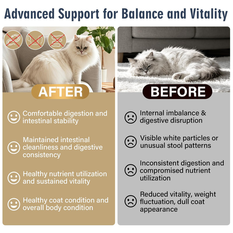 Dewormer for Pets, No More Tapeworms in Cats,Tapeworm Support Liquid Formula, 100 ml, Chicken Flavor
