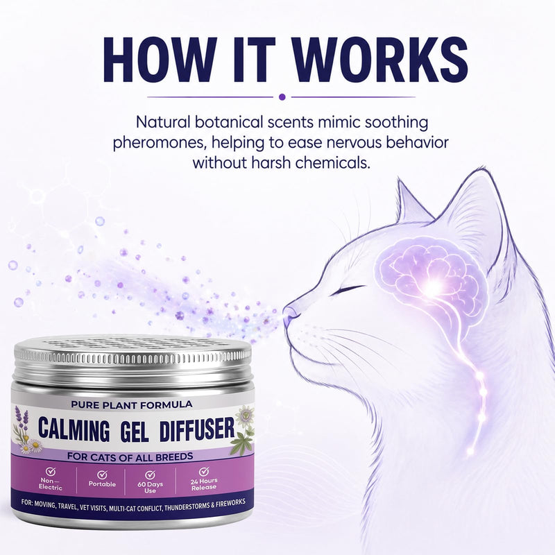 Cat Calming Pheromone Diffuser Gel - Unscented Soothing Gel for Stress Relief - Helps Manage Scratching Cordless & Portable for Home or Travel Lasting 2 Months (100 ml, 3.38 fl oz) 100ml