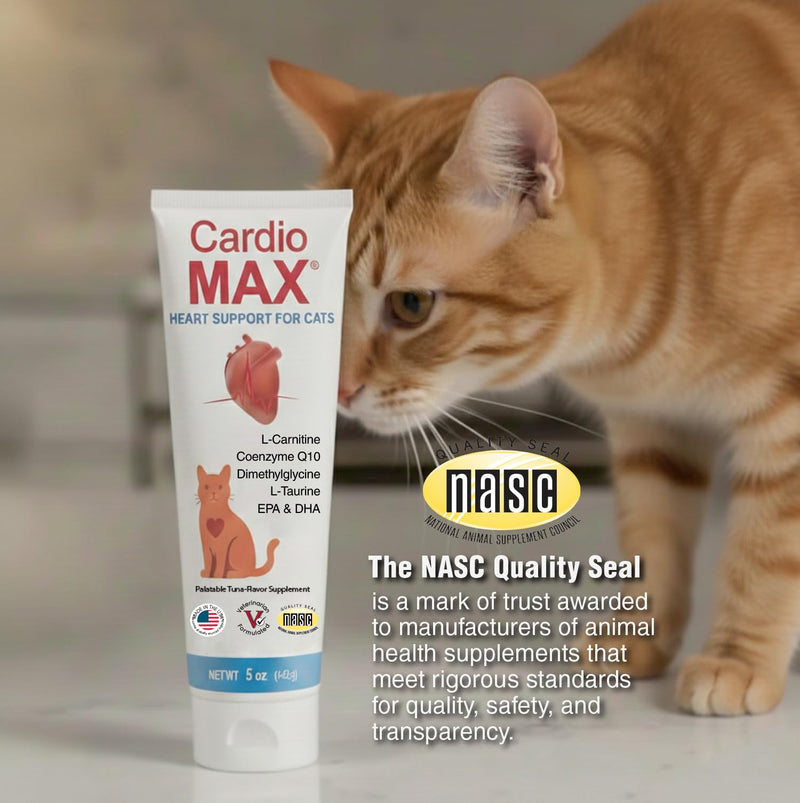 Heart Support Gel for Cats – L-Taurine, L-Carnitine, CoQ10 & Omega-3 (EPA & DHA) – Cardiovascular & Heart Muscle Support – Veterinarian Formulated Cat Cardiac Supplement – Tuna Flavor – 5 oz