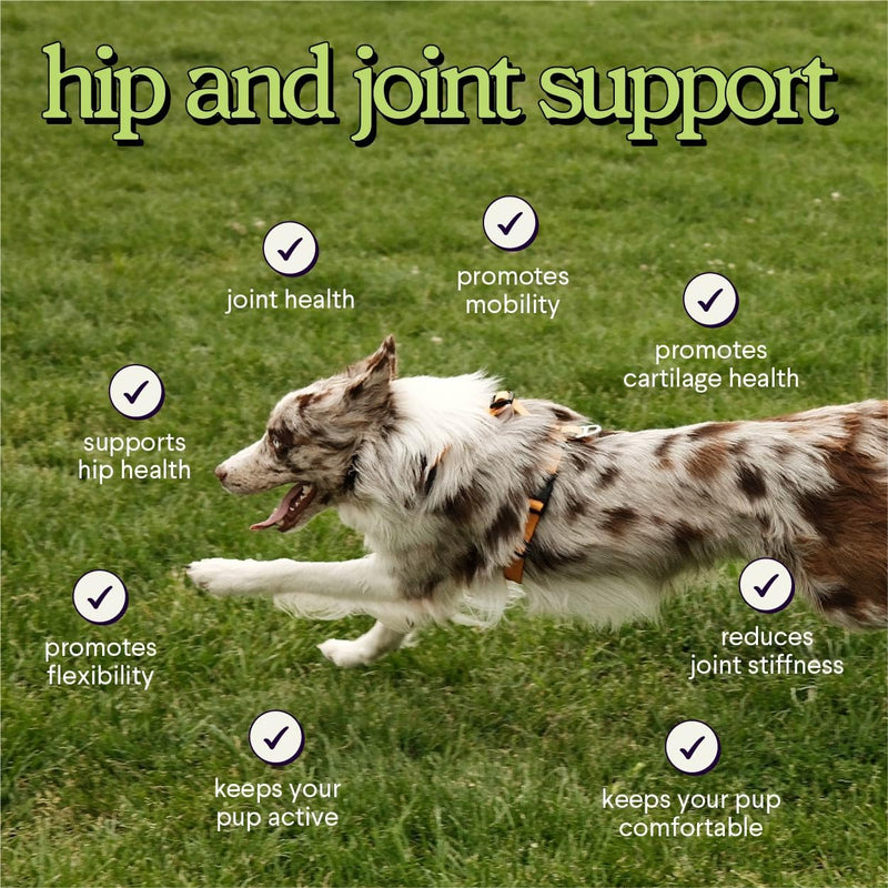 Premium Glucosamine For Dogs – Advanced Hip & Joint Supplement With Glucosamine Chondroitin For Dogs Flexibility, Mobility & Relief – Hip & Joint Supplement With Collagen & MSM – 120 Chews