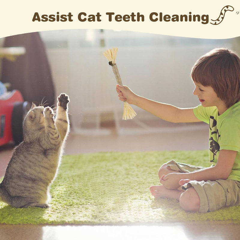 4 Pack Silvervine Sticks for Cats - Cat Chew Toy for Teeth Cleaning, Edible Matatabi Kitty Chew Sticks, Catnip Cat Toys for Indoor Cats (4 Sticks) 4 Sticks Grey - BeesActive Australia