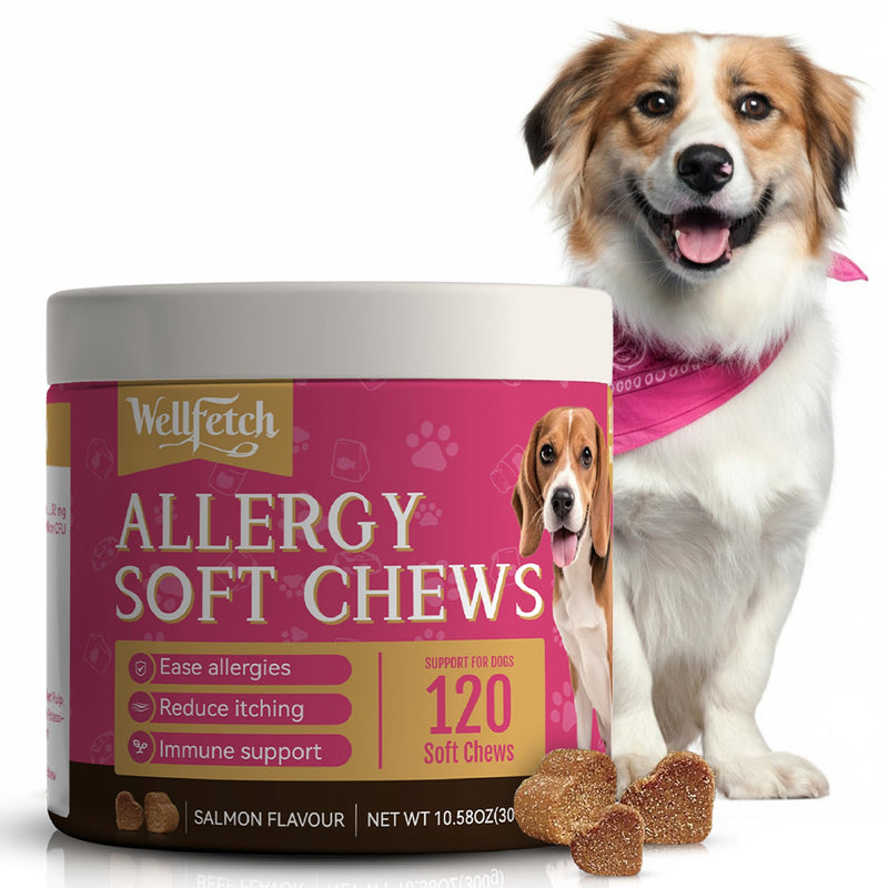 Dog Allergy and anti itch for dogs Soft Chews with Salmon oil, Colostrum & Turmeric for Itching, Skin Health, Anti Itch Natural Grain Free Treats, 120 Chews by wellfetch- Salmon Flavour 1