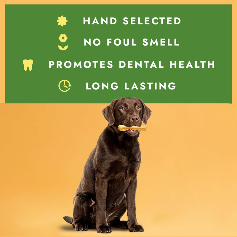 William Hunter Yak Cheese Himalayan Dog Chews - Long Lasting 100% Natural High Protein Dental Dog Chews for Aggressive Chewers (Large 1 Pack) Large 1 pack