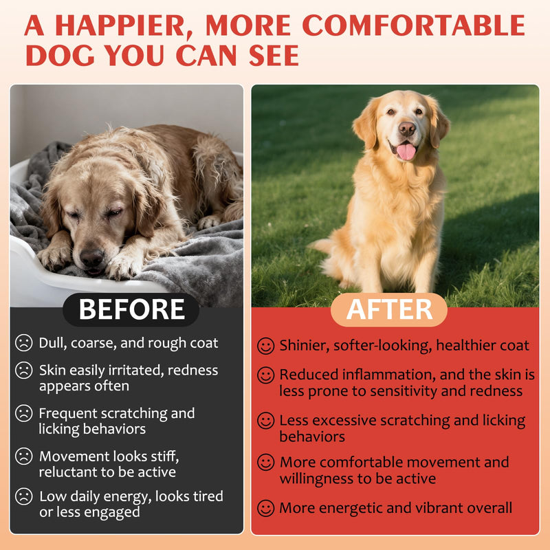 Phytoplankton for Dogs – 100% Pure Nannochloropsis Powder, Natural Omega-3 EPA Skin & Coat Support, Immune & Joint Wellness, Pure Microalgae, Easy-Mix Superfood Supplement for All Breeds(4 oz / 113 g)