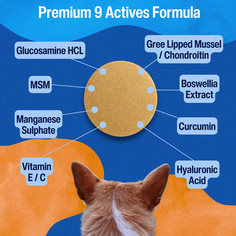 Hip & Joint Tablets for Dogs | Supports Joint Flexibility, Mobility, Healthy Cartilage & Helps Soothe Stiff Joints | With Glucosamine, Green-Lipped Mussel | Daily Use | 120 Tablets