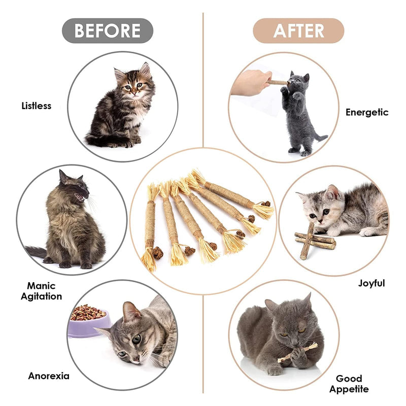 YHT 6Pcs Natural Catnip Toys Chewing Silvervine Chew Sticks for Cat Indoor Teeth Cleaning Stress Release Toy for Kitten Teething