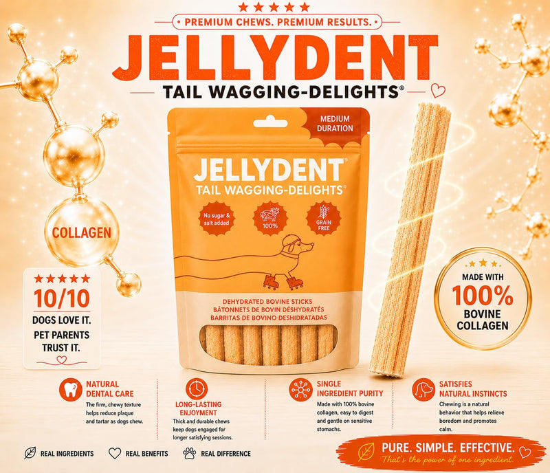 Jellydent Dog Dental Chews – Single Ingredient Beef Skin Chews for Plaque & Tartar Control – High Protein Natural Treats for Adult Dogs (10 Count, 5.15 oz)