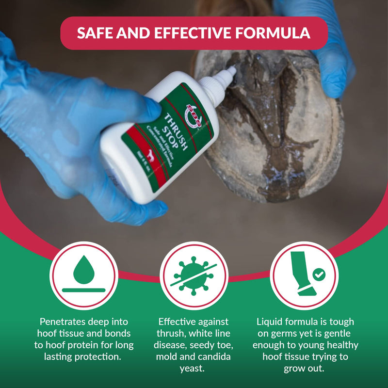 by SBS Equine | Thrush Treatment for Horses for The Best Horse Care | The Horse-Journal’s Product of The Year and #1 Pick Against Hoof Thrush (4 oz) 4oz - BeesActive Australia