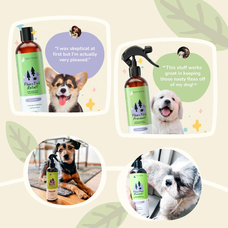 kin+kind Flea and Tick Shampoo for Dogs Vet Formulated - Plant Powered, Safe and Effective Dog Shampoo with Coconut and Olive Oil - Lavender Scent - Prevent Fleas and Ticks - Made in USA 12 fl oz - PawsPlanet Australia