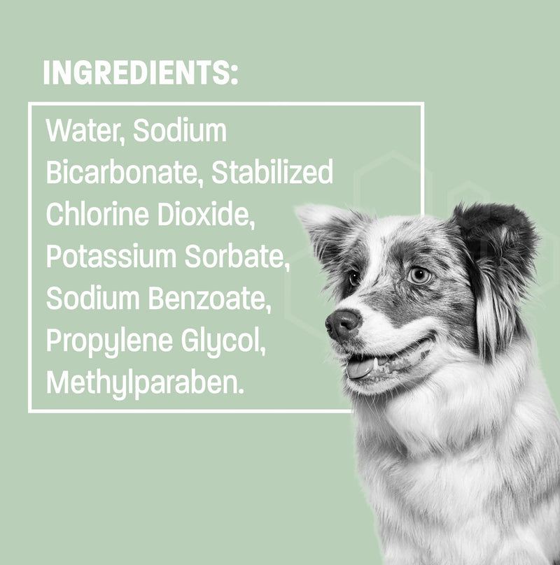 Dog Breath Water Additive - Cat & Dog Water Additive for Dental Care - Dog Dental Water Additive for Dogs Teeth and Bad Breath Treatment for Dogs and Cats - Odorless & Tasteless - 8 oz - PawsPlanet Australia