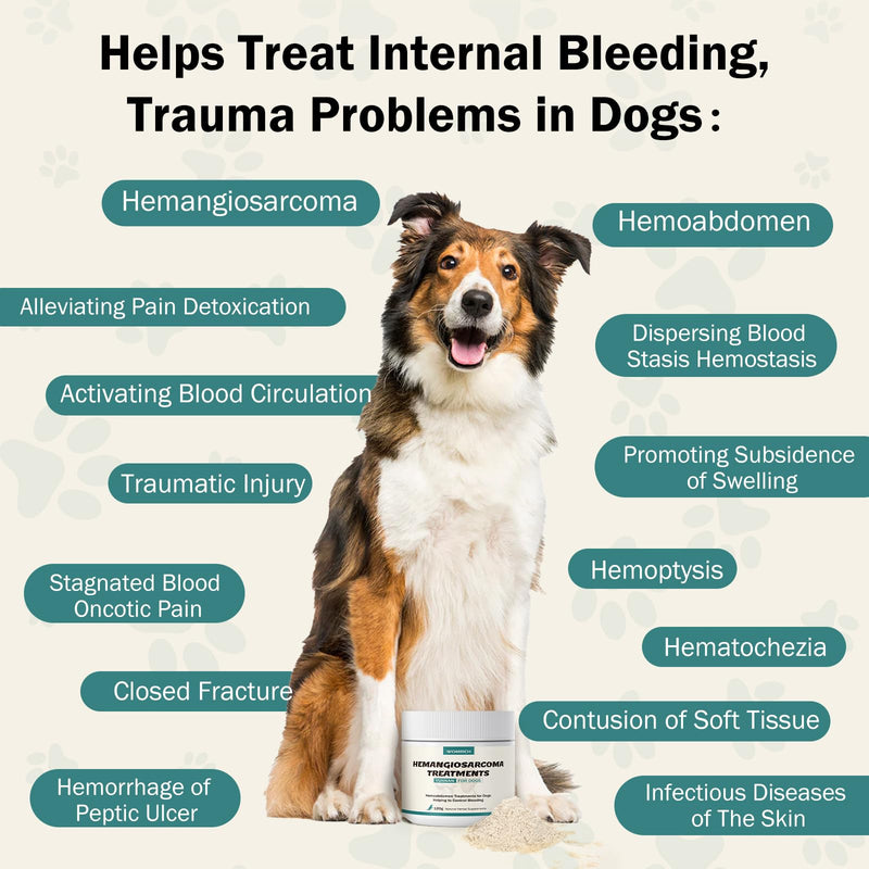 Blood Support Powder for Dogs, Natural Yunnan Sanqi Powder for Hemangiosarcoma, Hemoabdomen, Pericardial Effusion, Cancer Bleeding, Severe Bruising, Ulcer-Related Bleeding, Bloody Stools - 120g