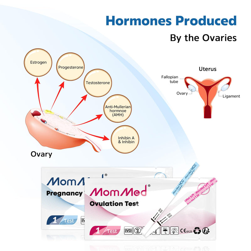 MomMed Ovulation Predictor Kit (HCG25-LH100), with 25 Pregnancy Test and 100 Ovulation Test Strips, Easy to Use Ovulation and Pregnancy Tests with 125 Urine Cups, Accuracy Fertility Test, OPK Test - BeesActive Australia