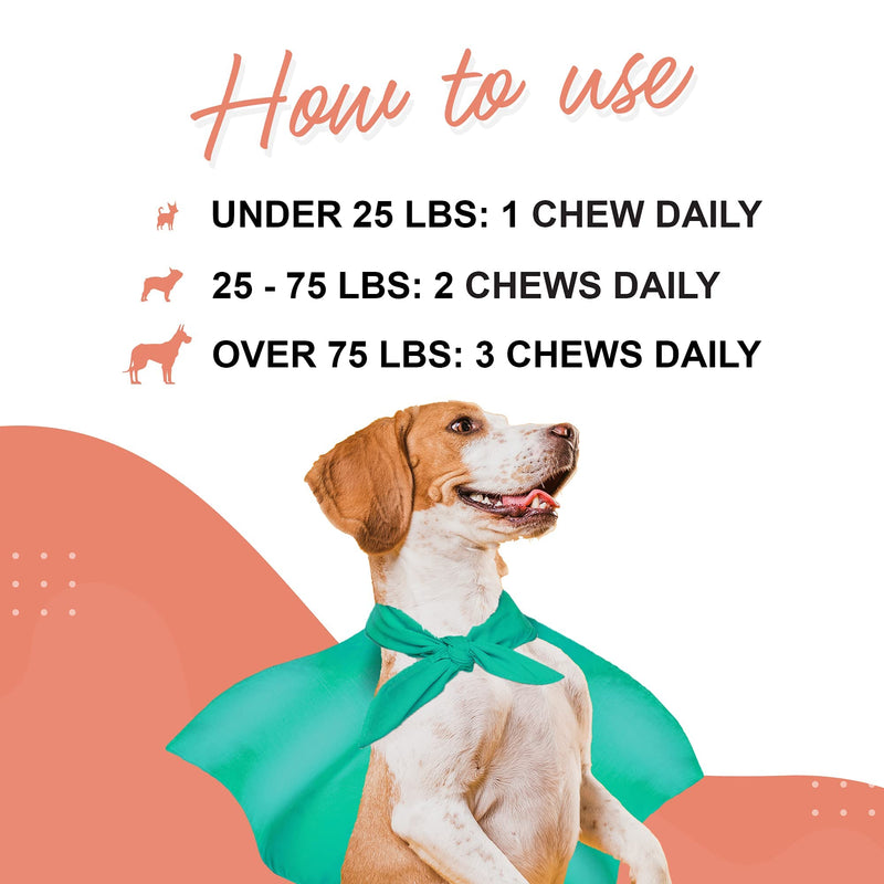 Skin + Coat Chews Plus Probiotic Superhero Chews - for Dog’s Skin and Coat Support, Joint Health, Digestive & Gut Health - Skin + Coat 70 Chews - Probiotic 90 Chews - PawsPlanet Australia