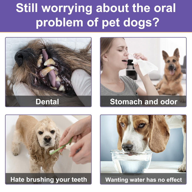 Dog Dental Powder, Dog Breath Freshener, Dog Teeth Cleaning Powder, Dog Dental Care, Plaque & Bad Breath Off Powder Dog, Teeth Cleaning Made Easy Eliminate, Formulated for Small, Medium, Large Dogs - PawsPlanet Australia