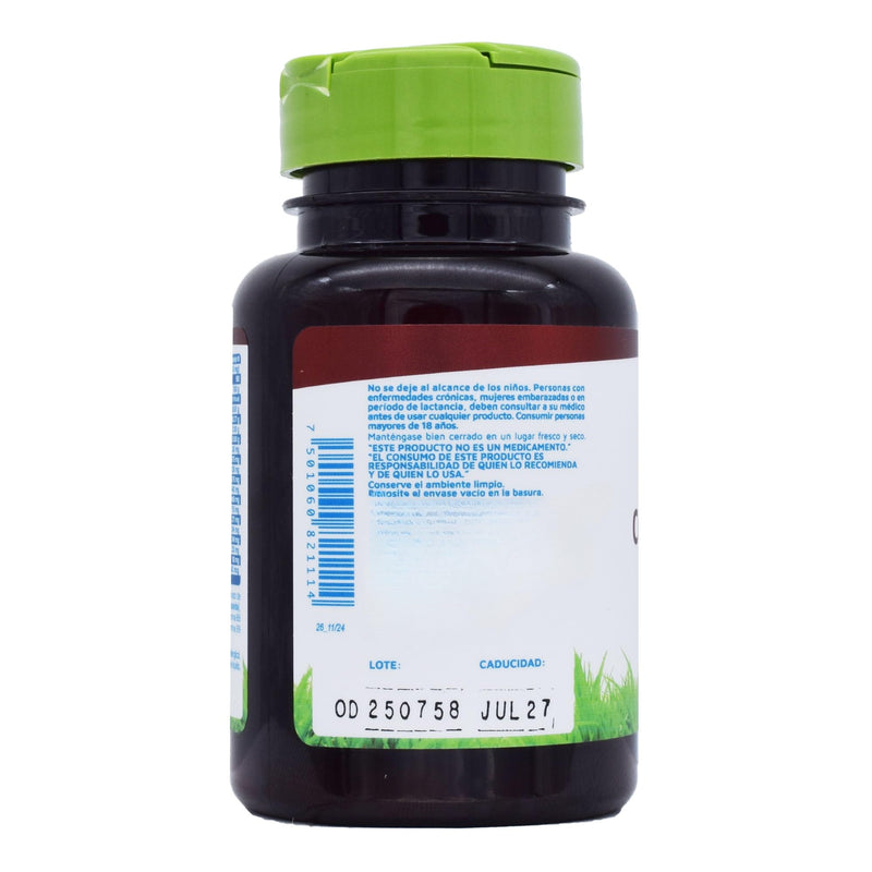 Vidanat Complex B 90 Capsules – Supports Energy, Metabolism & Immune Health – Essential B Vitamins for Mental Clarity, Stress Relief & Skin Health