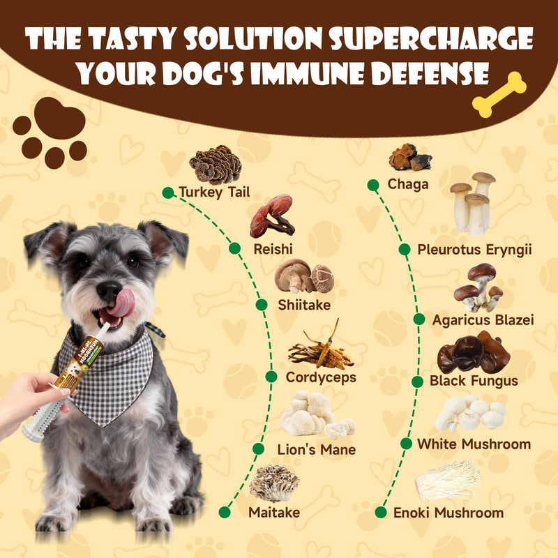Mushrooms for Dogs - Turkey Tail Mushroom - Immune Health Support, Gut, Skin, Joint + 2 Pack Organic Mushroom Supplement for Dogs - 18-in-1 Blend with Turkey Tail, Reishi, Lion's Mane