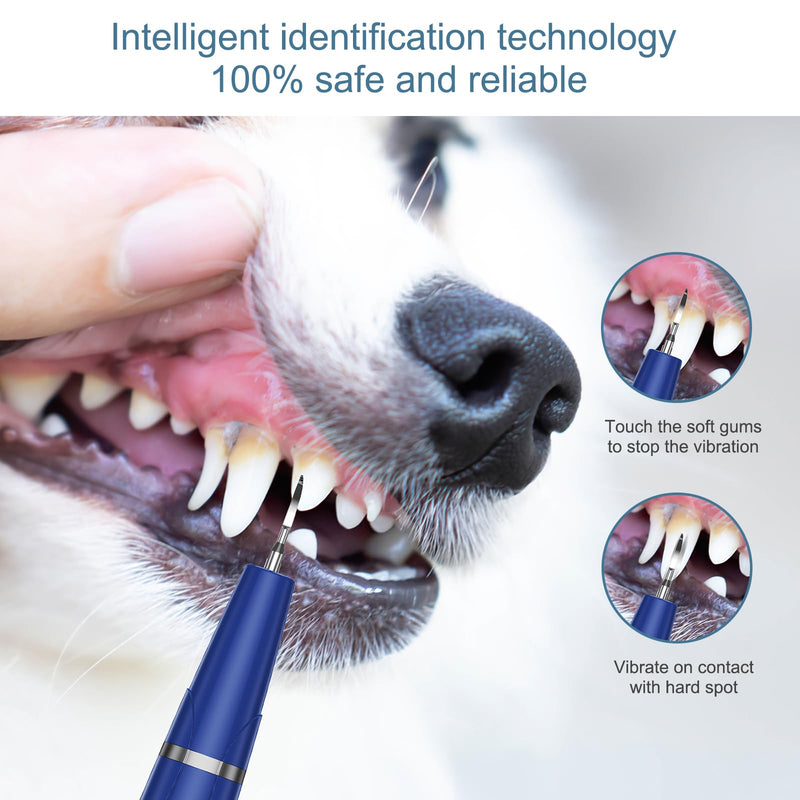 Upgraded Plaque Remover for Teeth, Electric Pet Teeth Cleaning Kit, USB Charging Dog Tooth Brushing Kit, 5 Modes, IPX6 Waterproof Pet Ultrasonic Toothbrush Cleaner for Dogs Cats (Blue) Blue