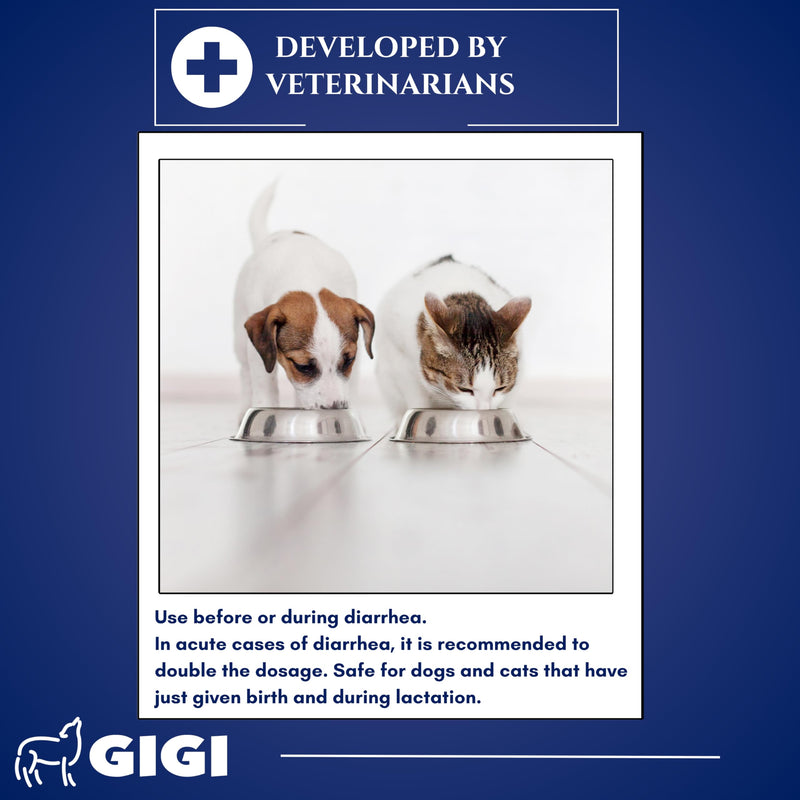 Instant Dog & Cat Diarrhea Relief Tablets - Fast Acting Stool Firming Supplement, Veterinarians Developed Formula with French Green Clay, Natural Digestive Support (60 Tablets)