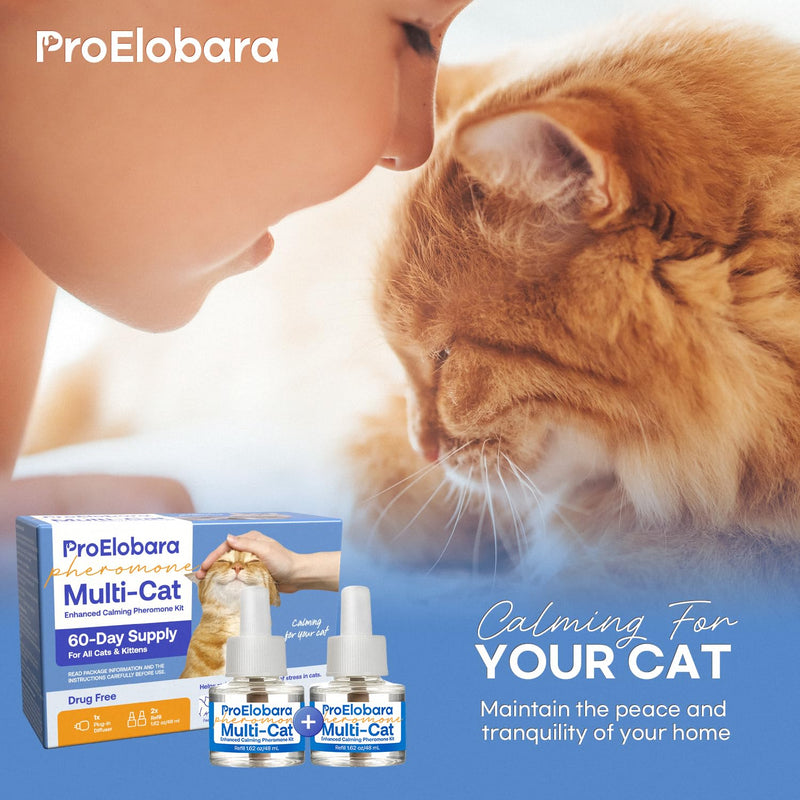 ProElobara Cat Calming Pheromones Diffuser: Cat Calming Pheromones Diffusers for Multicat - Reduces Stress and Anxiety with Calming Pheromones - Helps Control Bad Behavior with Calm Pheromones 60 Day BlueB - BeesActive Australia