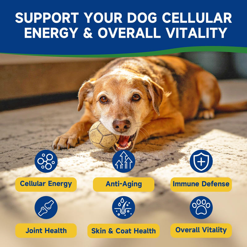 NAD+ Soft Chews for Dogs & Dog Mushroom Drops- Energy & Vitality, Anti-Aging, Cognitive Function - Lumps and Bumps Treatment
