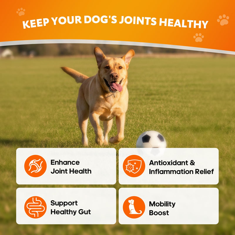 Hip and Joint Supplement for Dogs, Joint Pain Relief Supplement with MSM, Glucosamine, Chondroitin, Support Mobility, Health Chews for Dog, 120 Chews Hip & Joint
