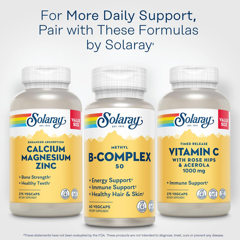 Solaray Methyl B-Complex, B1 & B12, 60 Vegetarian Capsules | Vitamin B Complex, Methylated Vitamins for Women & Men, Nerve and Cellular Energy Support with Methylfolate Unflavored 60 Count (Pack of 1)