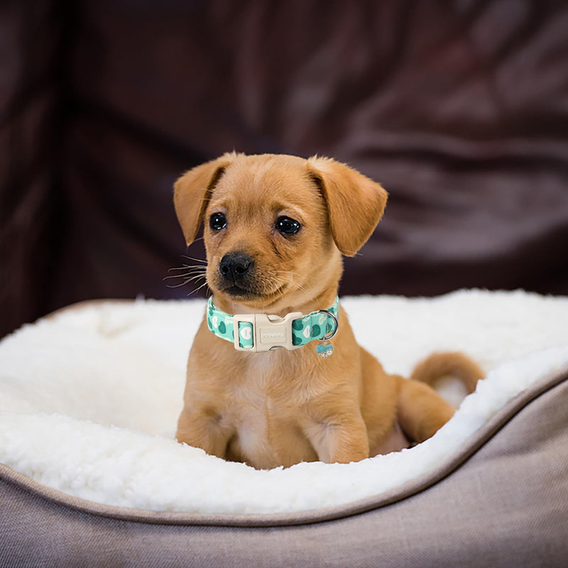 DOGWONG Valentine's Day Dog Collar, Green Heart Dog Collar Adjustable Soft Cute Pet Dog Collar Cute Heart Valentine Puppy Necklace for Small Medium Large Dog - BeesActive Australia