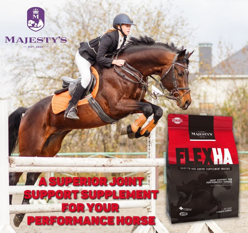 Majesty's Flex HA Wafers - Superior Performance Horse/Equine Joint Support Supplement - HA, Vitamin C, Yucca, Glucosamine (Peppermint, 60 count) Peppermint - BeesActive Australia