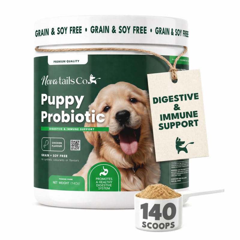 Puppy Probiotic Powder for Digestive Health & Diarrhea Relief, Gut Health Supplement with Prebiotics & Colostrum, Relieves Itchy Skin & Supports Immune System, Chicken Flavor, 14oz | NovaTails Co.