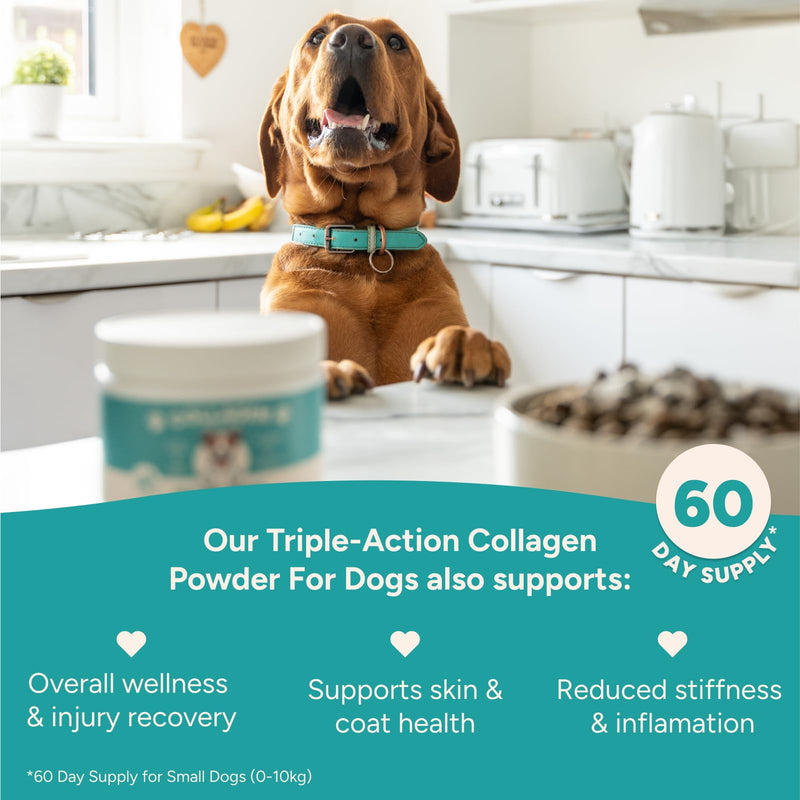 Happi Pets Collagen for Dogs Powder - Joint Supplements for Dogs - Dog Supplement with UC-11, Bovine Collagen & Green Lipped Mussel - Beef Flavoured, 150g Tub - Serving Scoop