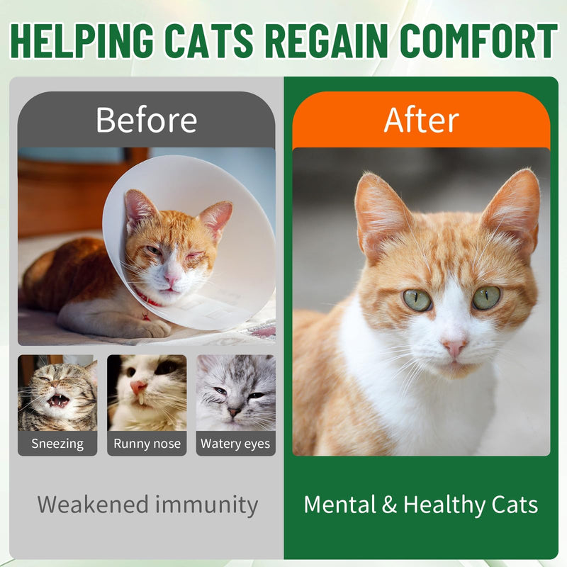 VICSOM Cat Hairball & Lysine Immune Support Bundle, Hairball Remedy + Liquid L-Lysine for Cats, Supports Digestion, Furball Control, Eye & Nose Wellness, Chicken Flavor, 2 fl oz + 60 ml
