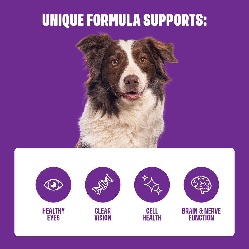 ivvi Vision – Eye Care Snacks for Dogs | With DHA, Astaxanthin, Blueberry & Eyebright | Supports Eye Comfort & Retina Function | 60 Soft Treats (270 g)