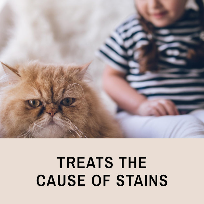 Eye Envy Tear Stain Remover Solution for Cats|100% Natural and Safe|Recommended by Breeders/vets/cat fanciers/Groomers|Contains colloidal Silver|Remove Stains from Fur on Persians and Exotics (8oz.) 8oz. - BeesActive Australia