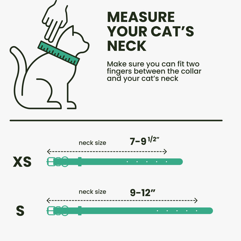 BRONZEDOG Leather Cat Collar with Bell Non Breakaway Kitten QR Tag for Girl Boy (7" - 9" for Cats, Turquoise & Silver) 7 - 9 inch - BeesActive Australia