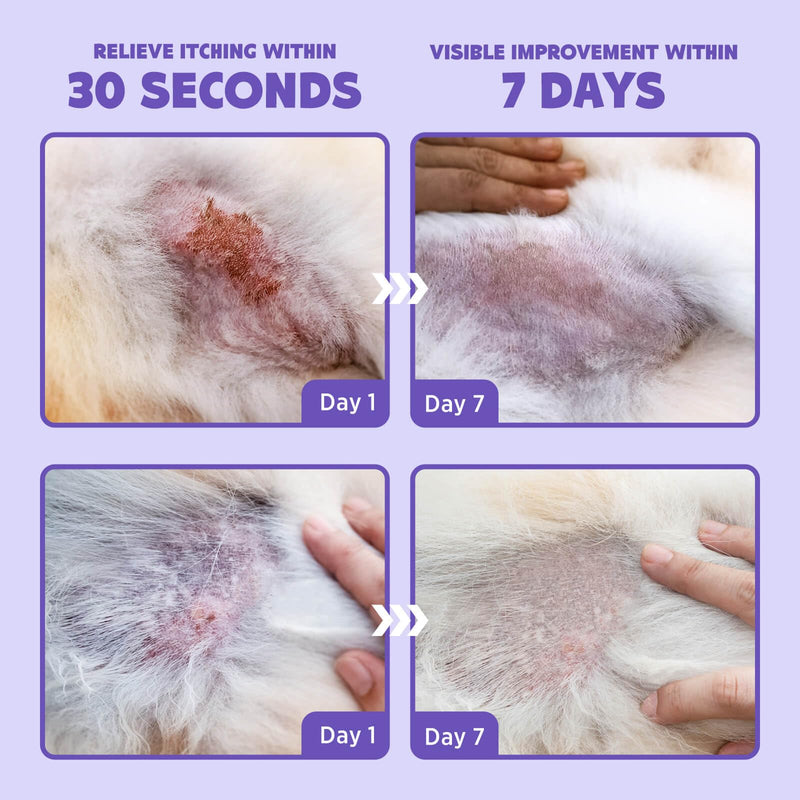 HICC PET Hot Spot Itch Relief Spray for Dogs, Cats - Pet Treatment Spray for Itchy, Irritated Skin, Allergy, Rashes - Lick Safe and Painless Wound Care Spray for All Animals 16 Fl Oz - BeesActive Australia