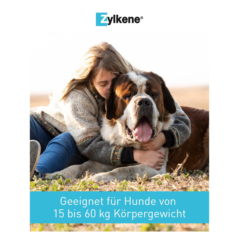 Zylkene 450 mg | 50 capsules | Supplementary food for large dogs | For support in unfamiliar situations | With trypsin-hydrolyzed bovine casein - BeesActive Australia
