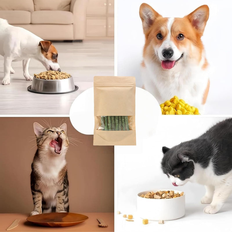 16PCS Cat Dental Treats & Teeth Cleaning To/ys with Catnip,Fresh Cat Dental Treats,Natu/ral Grass Cat Chew Sticks,Cat Chew Sticks & Teething T/oy,Cat Grass for Indoor Cats Teething