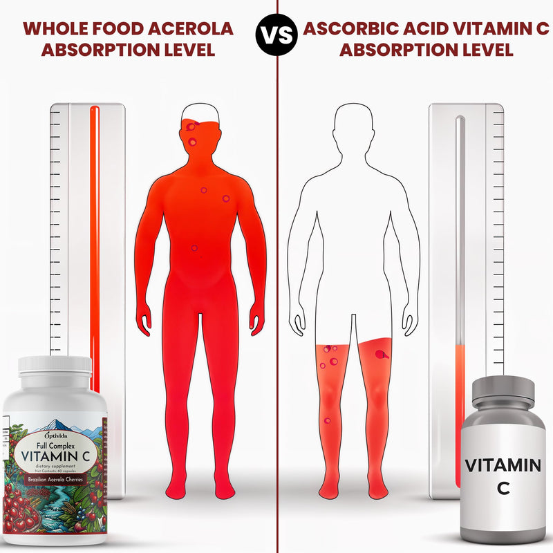 Acerola Cherry Capsules , Plant-Based Vitamin C for Immune Support - 60ct | Brazilian Acerola Cherry Vitamin C Enhances Absorption – Supports Skin, Joints & Immune Health – Gluten Free, GMP Certified