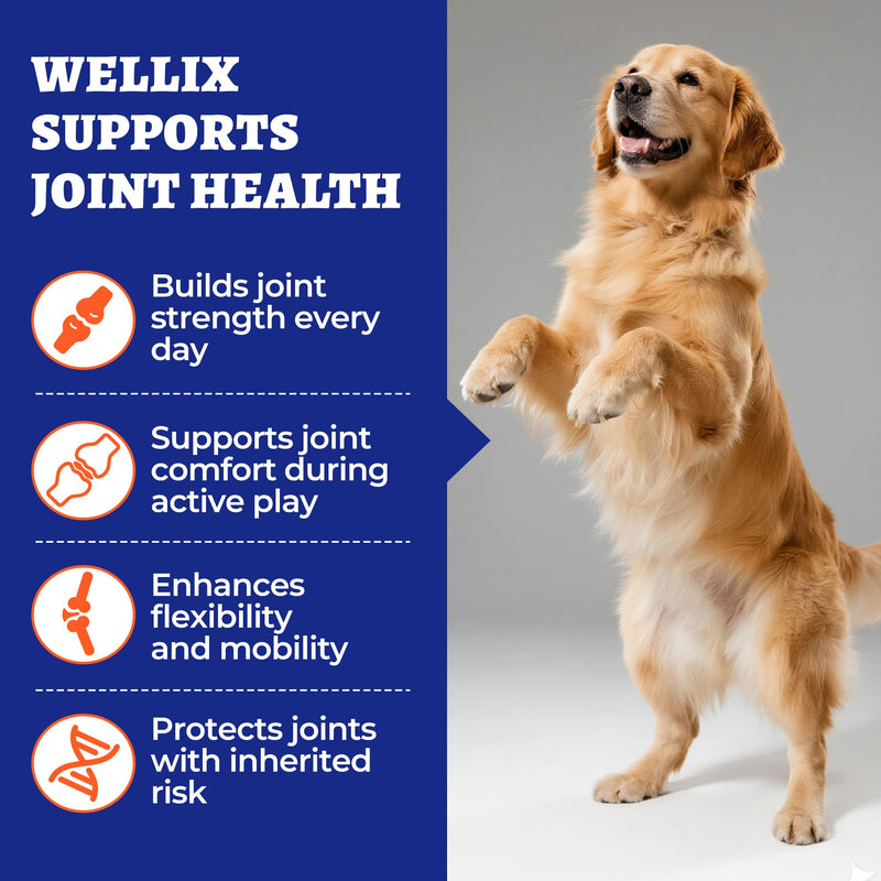 Wellix 260g Hip and Joint Supplements for Dogs - with Glucosamine for Dogs,Chondroitin & MSM - Support Dog Pain Relief Anti Inflammatory,Hip & Joint Care - Dog Vitamins and Supplements