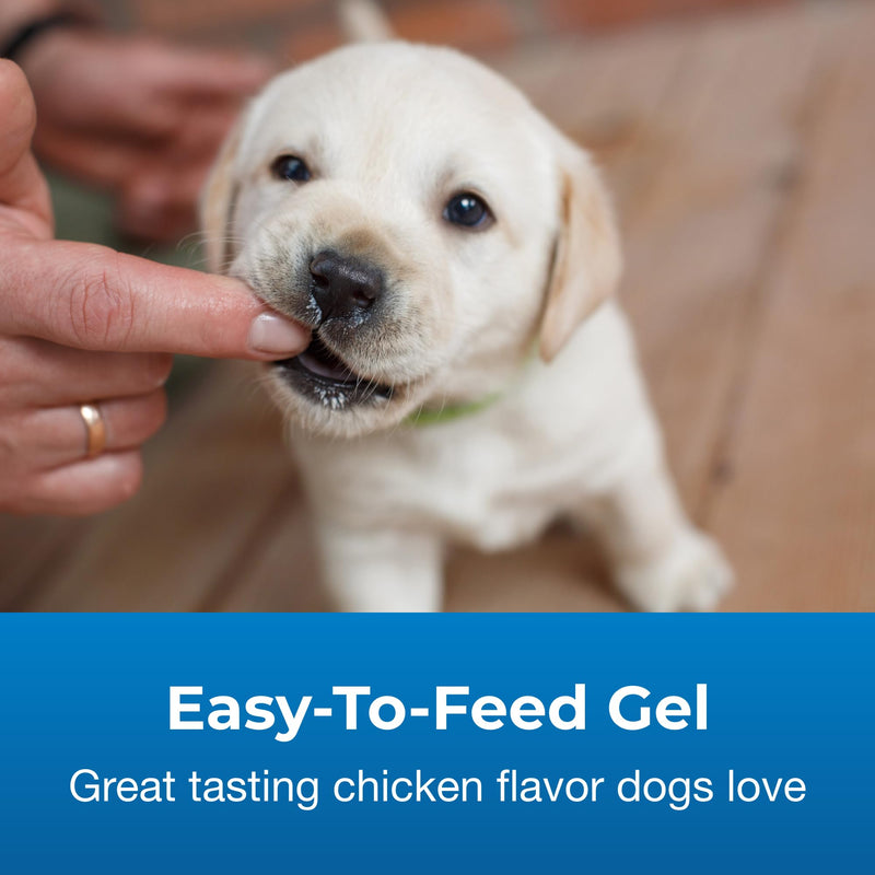 Pet-Ag High Calorie Gel Supplement for Dogs - 5 oz, Pack of 2 - Chicken Flavor - Provides Extra Calories for Dogs 8 Weeks and Older - Easy to Digest - PawsPlanet Australia