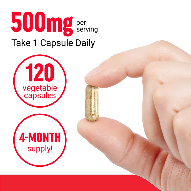 Force Factor Boswellia Extract Capsules | Joint Health Supplement for Women & Men, Made with Premium Boswellia Serrata Extract, Vegan, Non-GMO, 120 Capsules